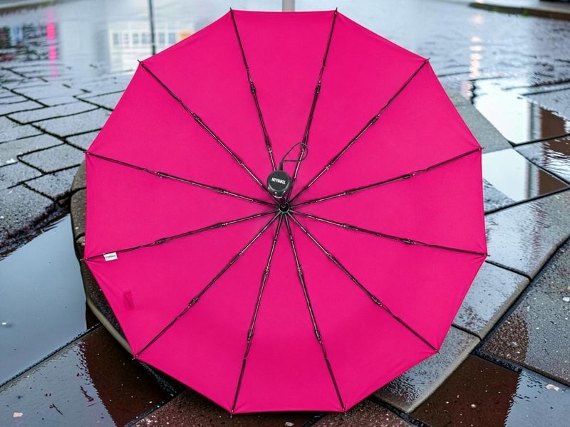 Женский зонт однотонный полностью автоматический Toprain F512 Pink 12 спиц 12302Pink фото