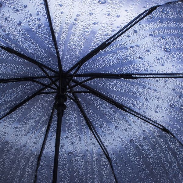 Парасолька жіноча ZITA Rainy Day Blue напівавтомат на 9 спиць U_587Blue фото