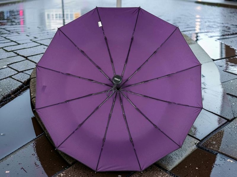 Женский зонт однотонный полностью автоматический Toprain F512 Purple 12 спиц 12302Purple фото