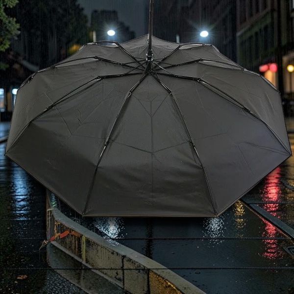 Зонт мужской Sponsa Rainy Day SABJ500 Black полуавтомат на 9 спиц 11805 фото