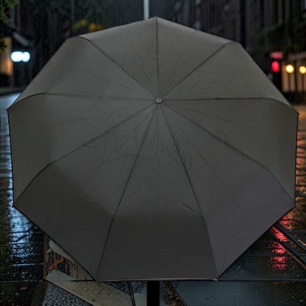 Зонт мужской Sponsa Rainy Day SABJ500 Black полуавтомат на 9 спиц 11805 фото